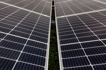 Zwei Reihen von Solarpaneelen, die in der Mitte durch einen schmalen Spalt getrennt sind.