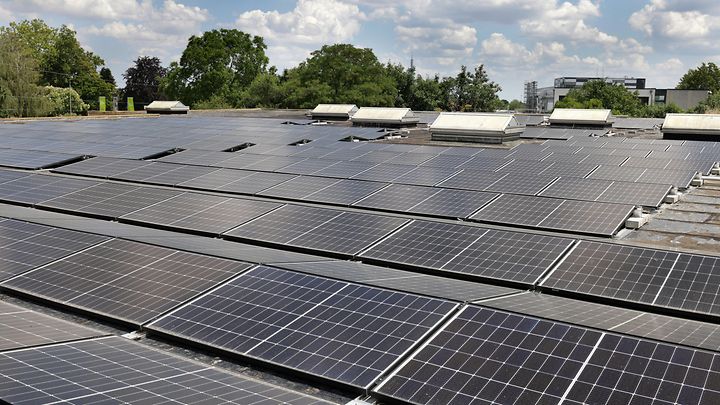 Eine große Anzahl von Solarpaneelen ist auf einem flachen Dach installiert, umgeben von Bäumen und Gebäuden.