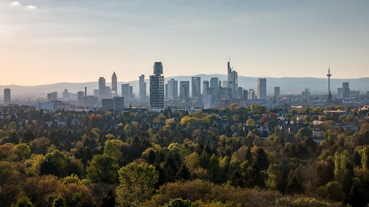 Blick auf Frankfurter Skyline mit Stadtwald im Vordergrund
