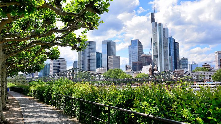 Blick vom Mainufer aus auf den Eisernen Steg in Frankfurt mit Skyline im Hintergrund.