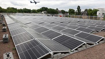 Dach mit vielen Solarpaneelen, im Hintergrund fliegt ein Flugzeug über grüne Landschaft.