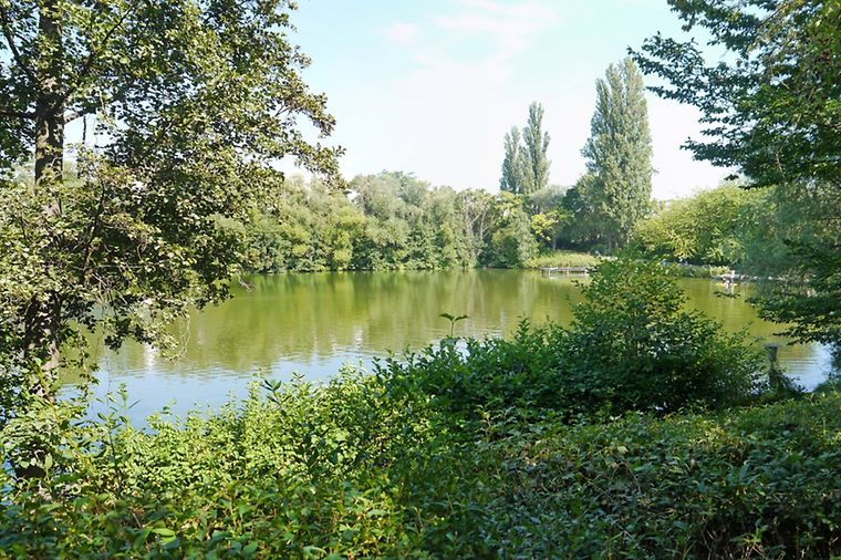 Schwedlersee in Frankfurt