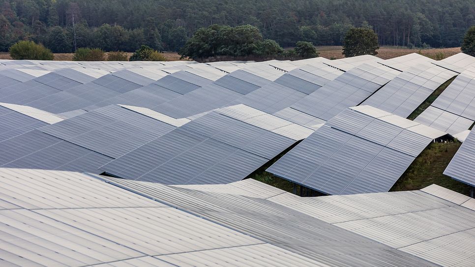 Weitläufige Solaranlage mit Paneelen in parallelen Reihen, Bäume im Hintergrund.