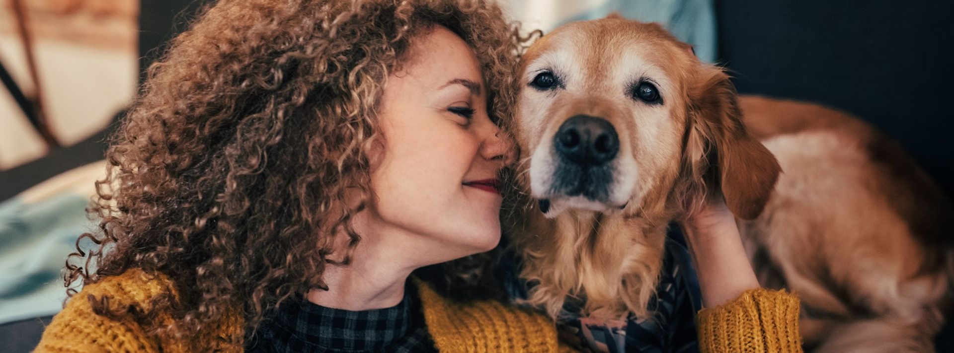 © www.istock.com - filadendron Frau streichelt einen Golden Retriever in einer warmen Wohnung.