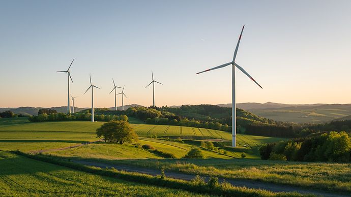 Windräder in einer grünen Landschaft