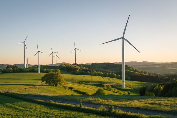 Windräder in einer grünen Landschaft
