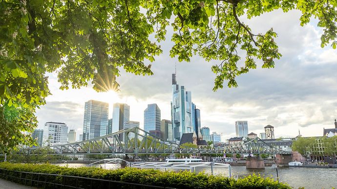 frankfurter Skyline im Hintegrrund, grünes Laub und der Main im Vordergrun