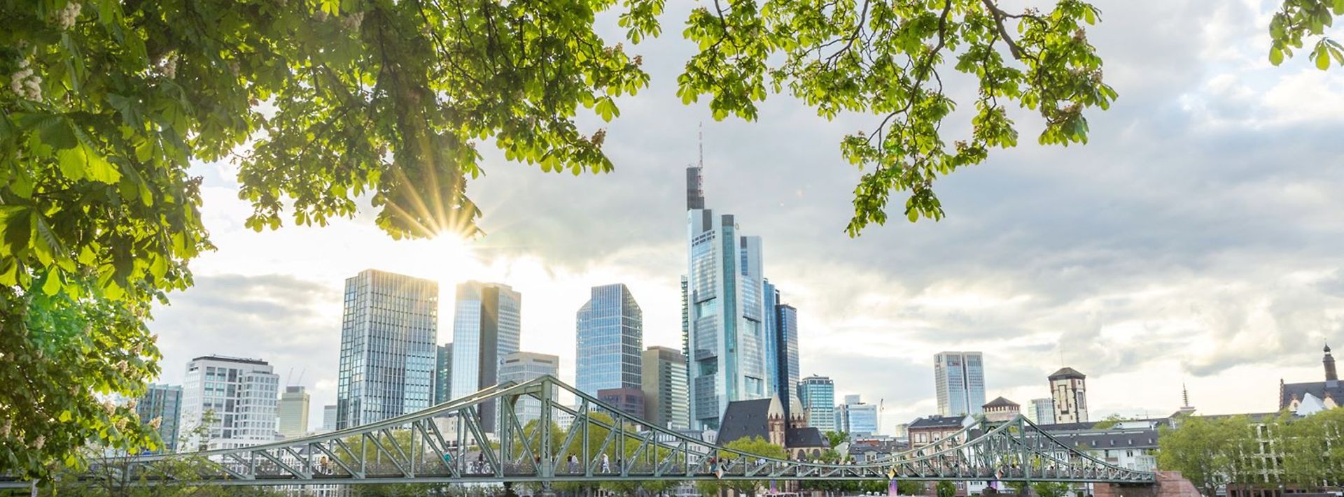© www.adobestock.com - Janosch frankfurter Skyline im Hintegrrund, grünes Laub und der Main im Vordergrun