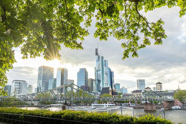 frankfurter Skyline im Hintegrrund, grünes Laub und der Main im Vordergrun