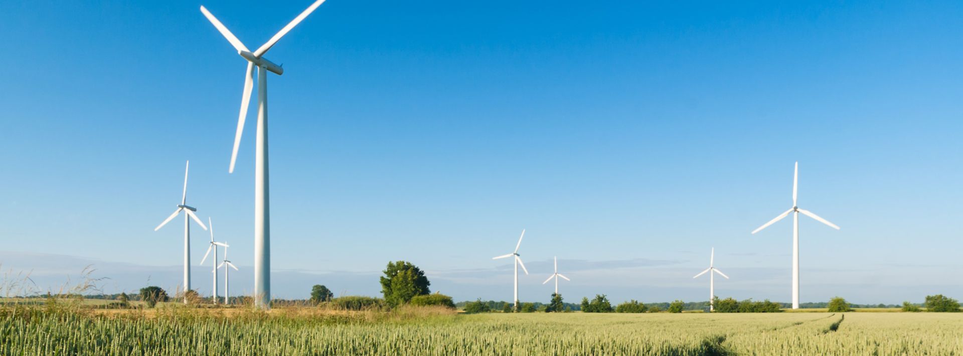 Windkrafträder vor einem blauen Himmel