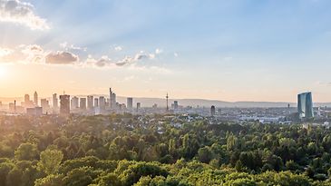 Skyline Frankfurt bei Sonnenuntergang, mit Wolkenkratzern und viel Grünfläche im Vordergrund.