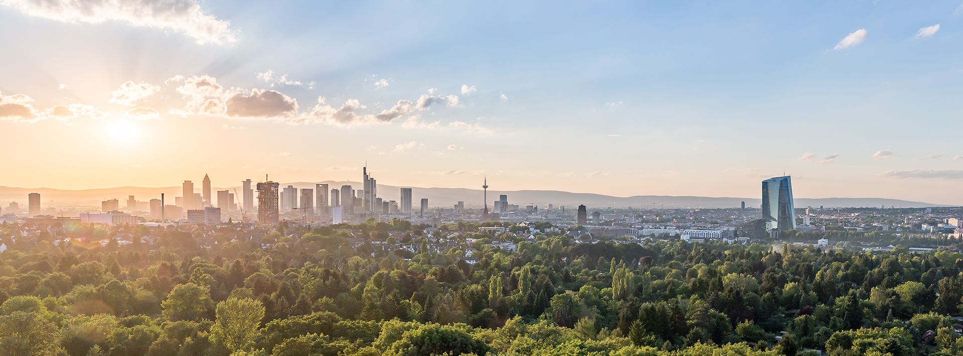 © adobestock.com/d.pix Skyline Frankfurt bei Sonnenuntergang, mit Wolkenkratzern und viel Grünfläche im Vordergrund.