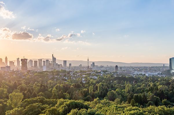 Skyline Frankfurt bei Sonnenuntergang, mit Wolkenkratzern und viel Grünfläche im Vordergrund.
