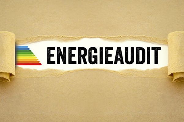 Schriftzug Energieaudit