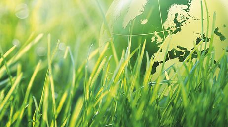 Transparenter Globus vor einer grüner Wiese