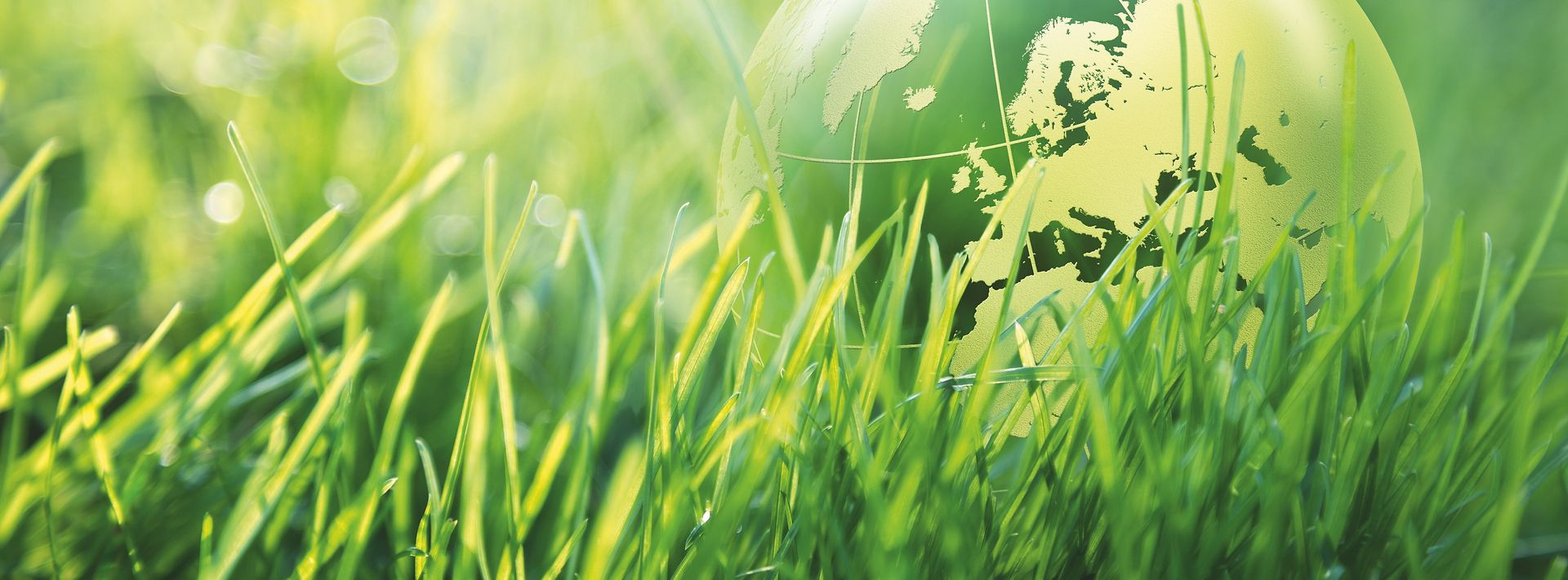 Transparenter Globus vor einer grüner Wiese