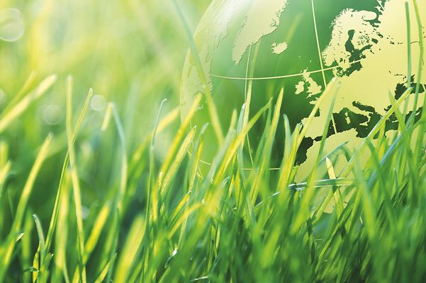 Transparenter Globus vor einer grüner Wiese