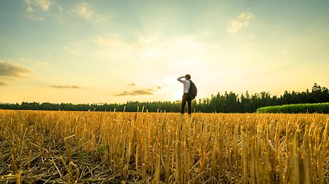 Mann steht auf einem Getreidefeld und schaut in die Ferne