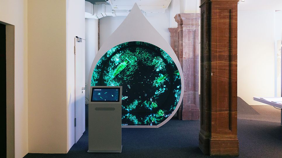 bild_senckenberg_ausstellung_03