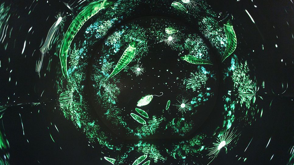 bild_senckenberg_ausstellung_03