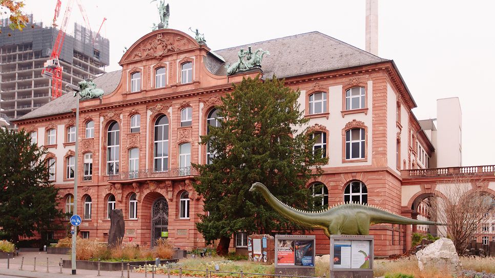 bild_senckenberg_ausstellung_03