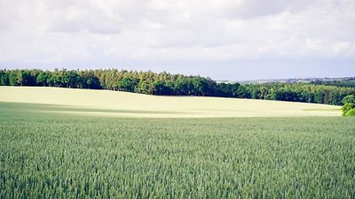 Solarstrom für Mieter ist nachhaltig