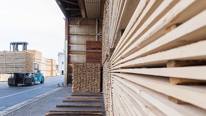 bild_header_senckenberg_ausstellung