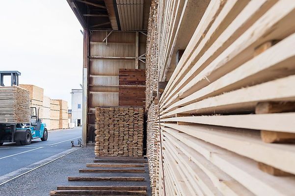 bild_header_senckenberg_ausstellung