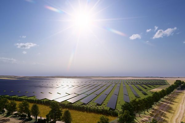 Grünes Feld mit Solaranlagen vor blauem Himmel