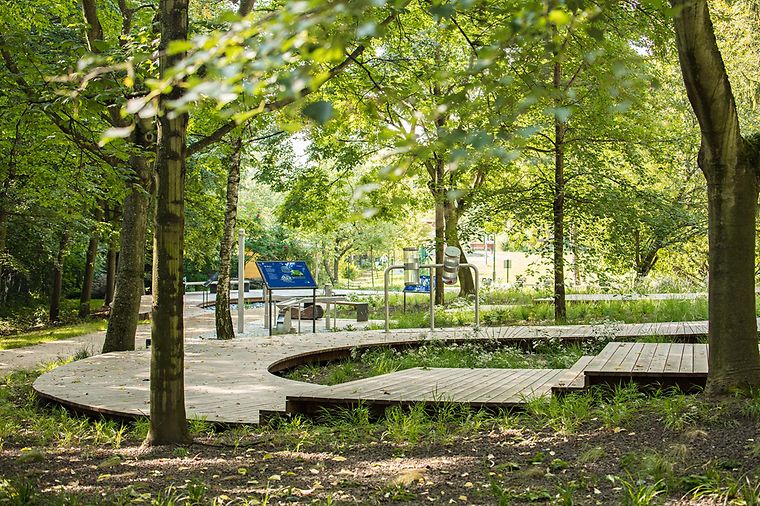 Ein hölzerner, gewundener Gehweg durch einen grünen Park mit Bäumen und Bänken.