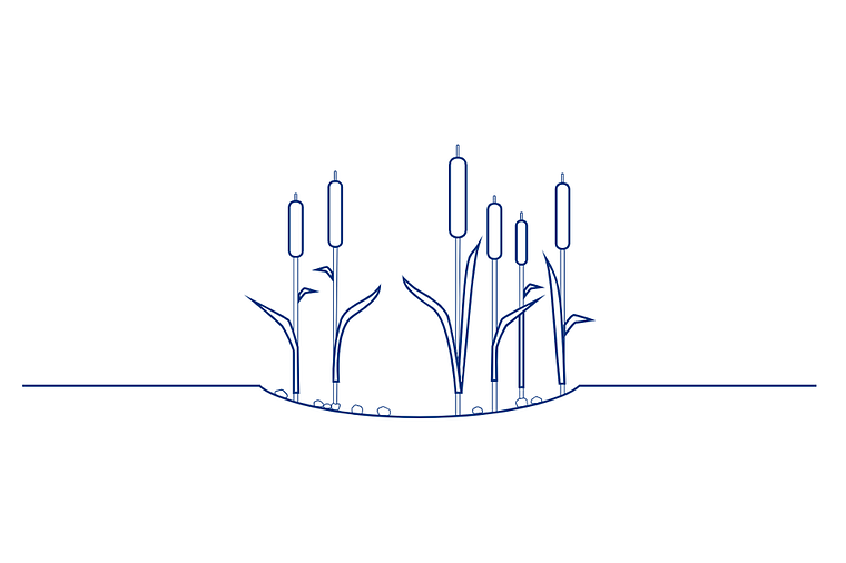 Ein stilisiertes Bild zeigt Pflanzen, die aus einem Boden wachsen, mit Wurzeln und Blättern.