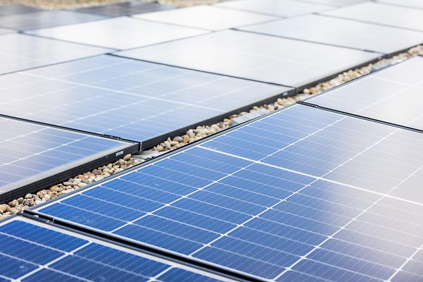 Mehrere blaue Solarpaneele auf einem Kiesdach, in Reihen angeordnet, mit gitterförmiger Zellstruktur.